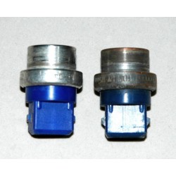 Blue Temperature sensor for engine injection